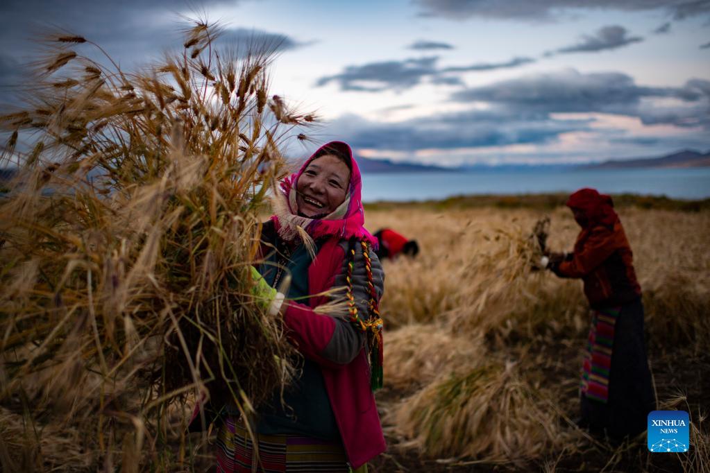 Multimedia tools sought in telling Tibet stories