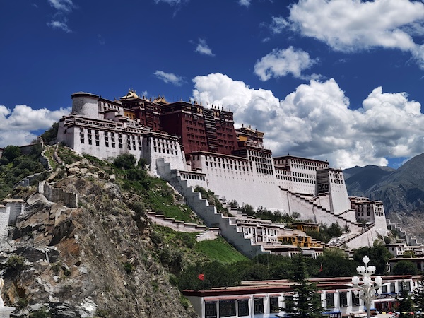 1765189154015019277.jpg 2356908010163798028_副本.jpg