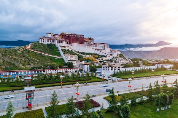 1765189821045038043.jpeg XZ(1)_副本.jpeg