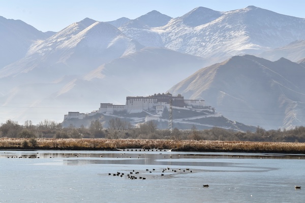 1765359196980058923.jpg 2445920889546473488_副本.jpg