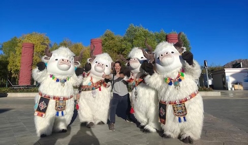 Lhasa's dancing yak mascots become online sensation