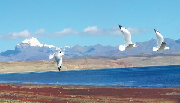 High-altitude mission to be proud of