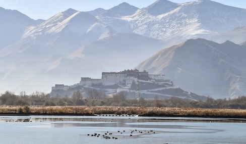 Winter beauty at Lhasa's Lhalu Wetland