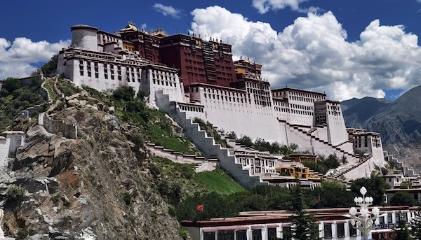 Scientific study drives law to protect ecology of Qinghai-Tibet Plateau