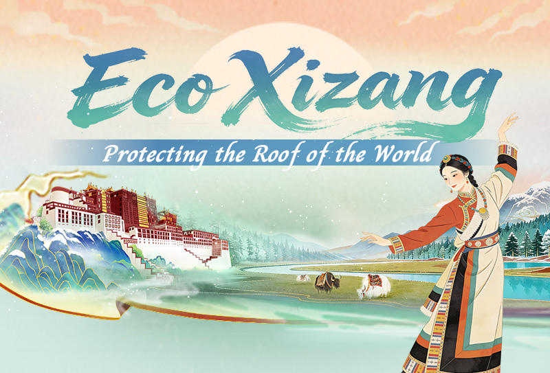 Eco Xizang: Protecting the roof of the world