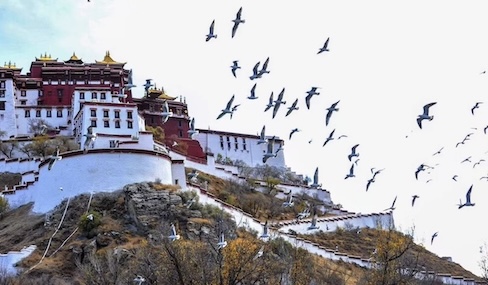 Xizang's GDP surpasses 300b yuan in 2025