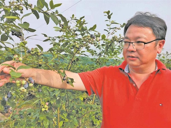 IoT technologies support modern agriculture in Wuxi
