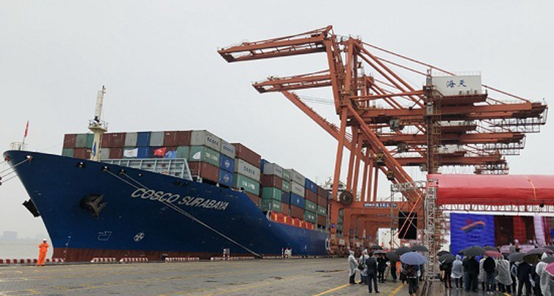 Xiamen Port sees steady growth in container throughput