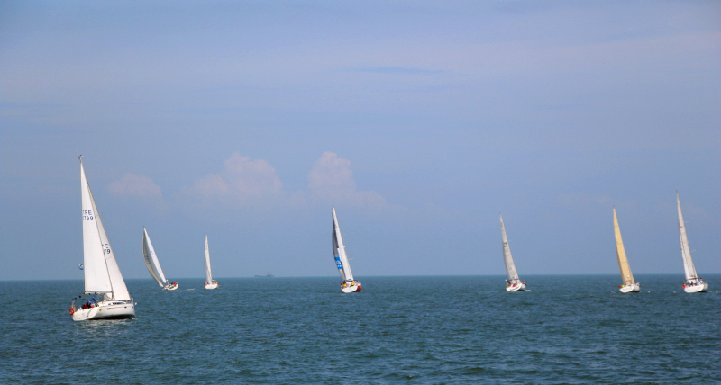 7th Strait Cup Sailing Race opens in Xiamen