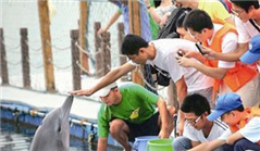 Xiamen offers free summer camps