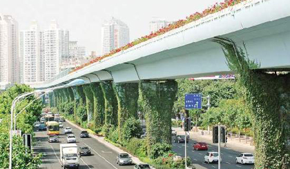 Xiamen focuses on blooming into a garden city 
