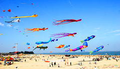 Intl kite festival to boost BRI cooperation
