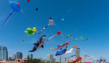 Xiamen International Kite Festival: Animal-shaped kites fly in sky