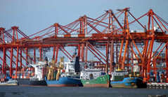 Fujian's foreign trade up 5.4% in Jan-Oct