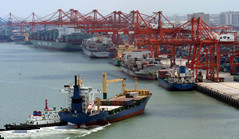 Xiamen Port pursues eco-friendly development