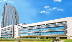 Private enterprises drive industrial development in Xiamen