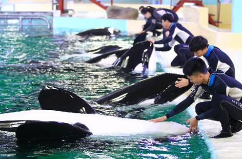 1488245884169024256.jpg gg_副本.jpg