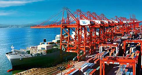 1488767322493008863.jpg pp.jpg