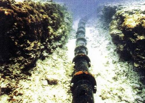 1493777056586083330.jpg k4_副本.jpg