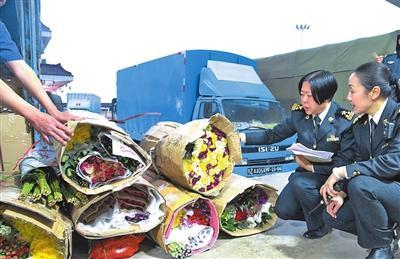 1515030425554022452.jpg fl.jpg