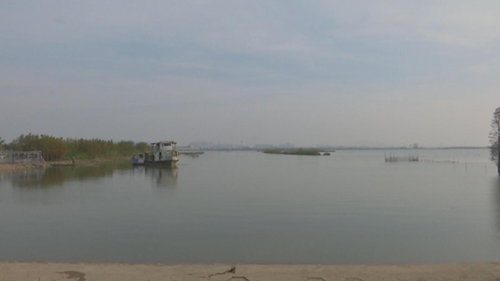 1515375110684038995.png 1_副本.png