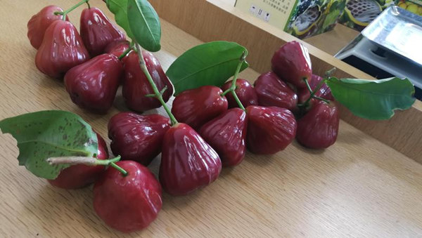 1528853763212013338.jpg app1_副本.jpg