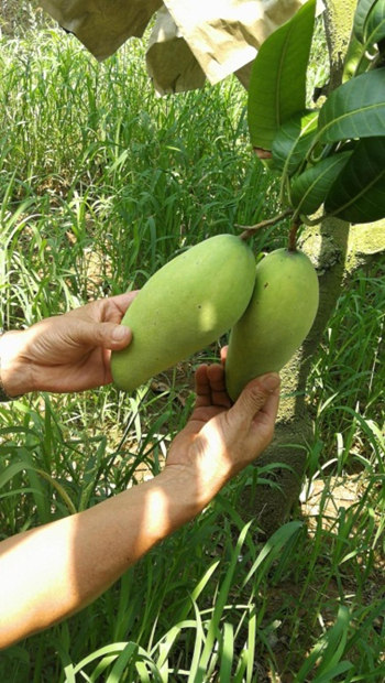 1528853785682019480.jpg app2_副本.jpg