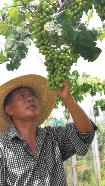 1528853796248027130.jpg app3_副本.jpg