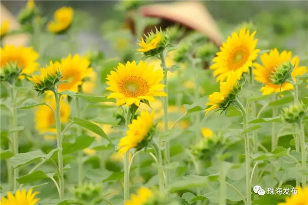 640 (2).webp (4).jpg