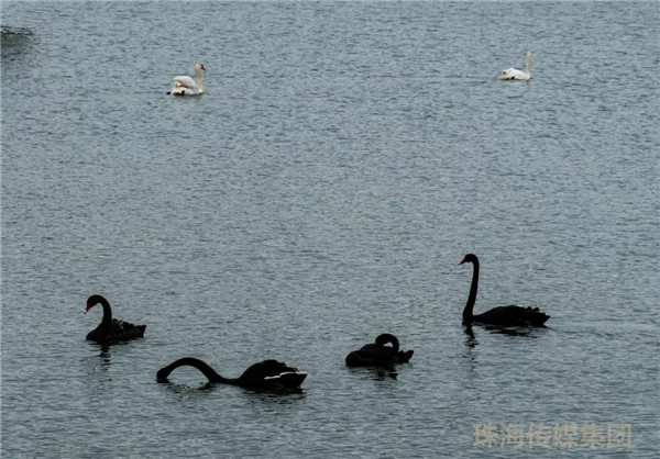 640 (2).webp (3).jpg