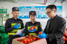 Zhuhai company delivers first vegetable supply to HK via HK-Zhuhai-Macao Bridge