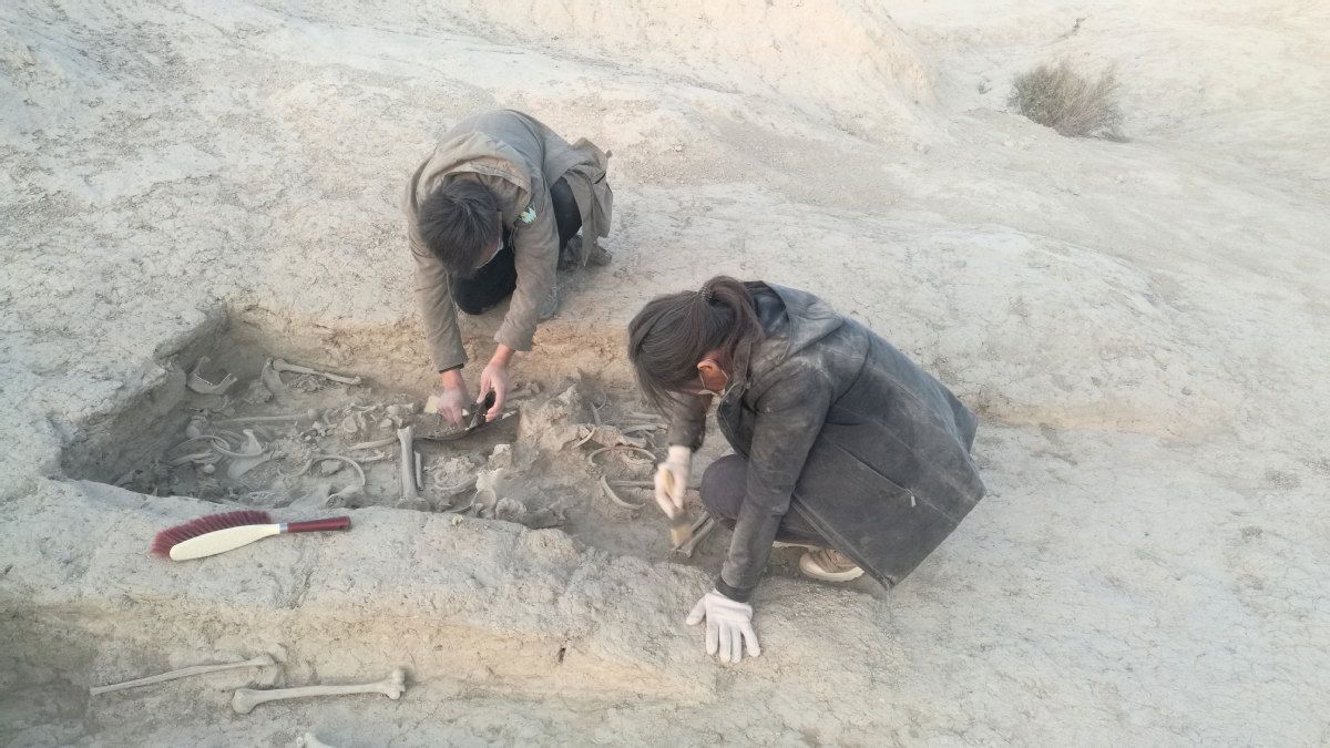 Tang-era Han tombs found in eastern Xinjiang