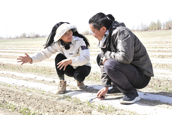 4月12日，艾海鹏和莫晓钰在地头交流。（摄影：杜建辉）.jpg