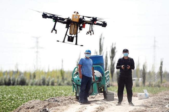 Cotton farmers taking to the skies with drone technology