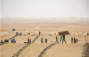 Anti-desertification push in Xinjiang shows promise