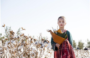 High-quality cotton auction unfolds in Xinjiang