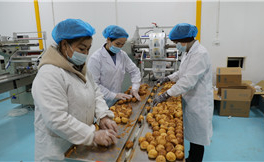 Horgos sends 1 million buns to aid Xi'an
