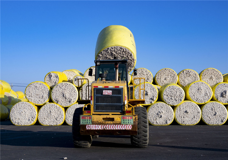 Cotton harvest season starts in Xinjiang