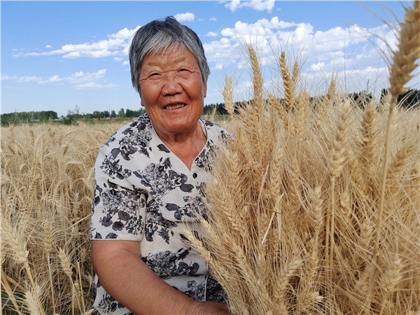 Better practices boost Xinjiang farm productivity