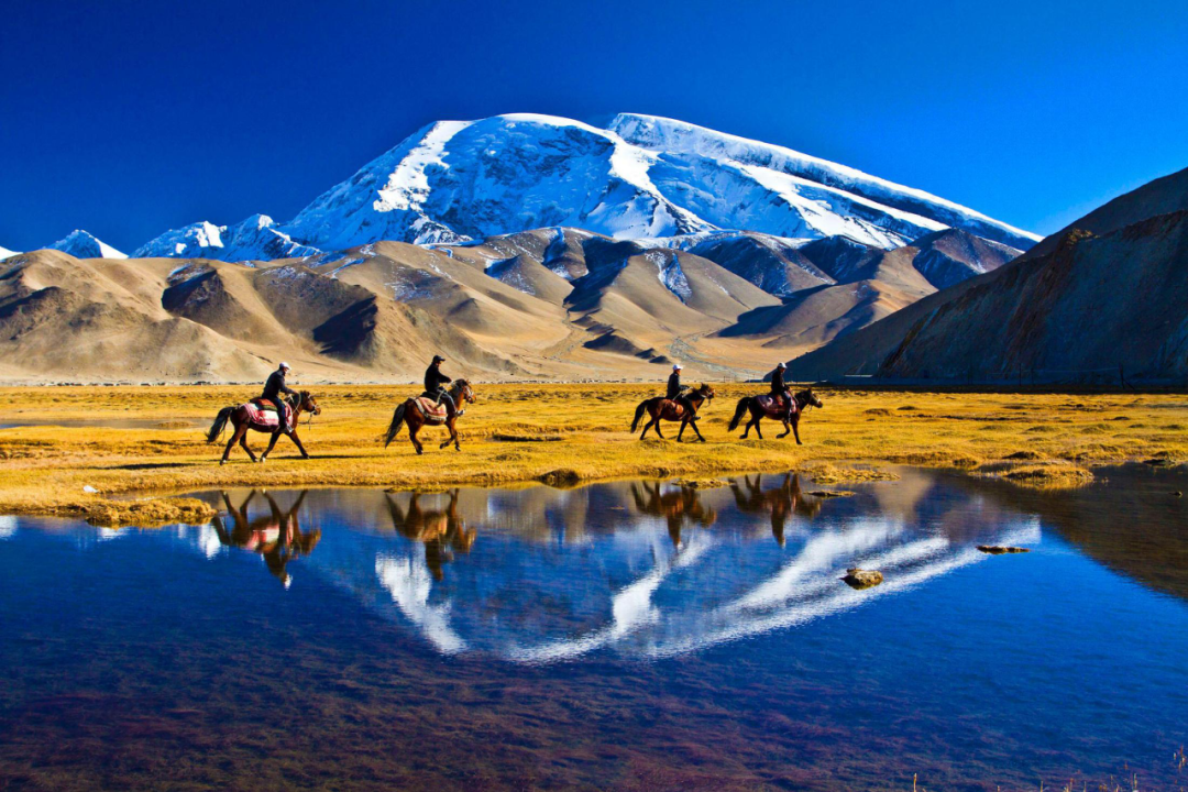 Scientific expedition supports high-quality development in Xinjiang