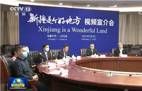 Xinjiang holds webinar to outline its progress