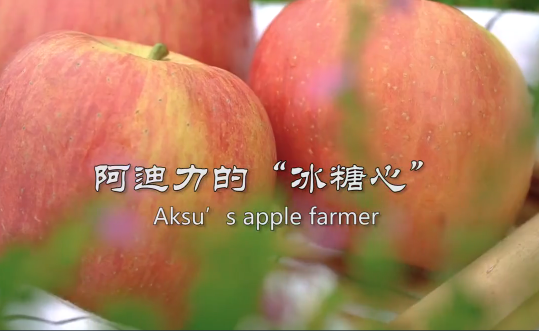 Aksu’s apple farmer