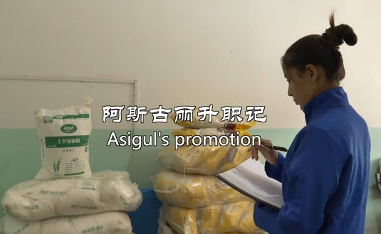 Asigul’s promotion