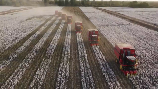 Driving a cotton harvester on the road of happiness