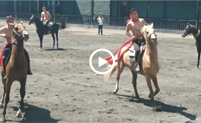 Rare horse a big draw in Urumqi