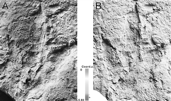 Fossil footprints of theropod dinosaurs discovered in Hami, Xinjiang