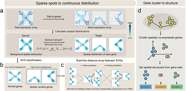 XJTU team develops novel method for tumor spatial heterogeneity analysis