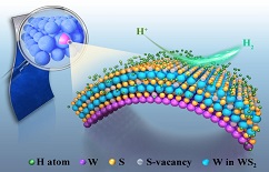 XJTU scientific research team makes important progress in the research of electrocatalytic hydrogen evolution