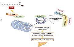 Significant progress made in prevention and treatment of type 2 diabetes 