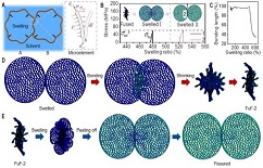 XJTU research results published in Science